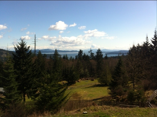 20130320-142245.jpg