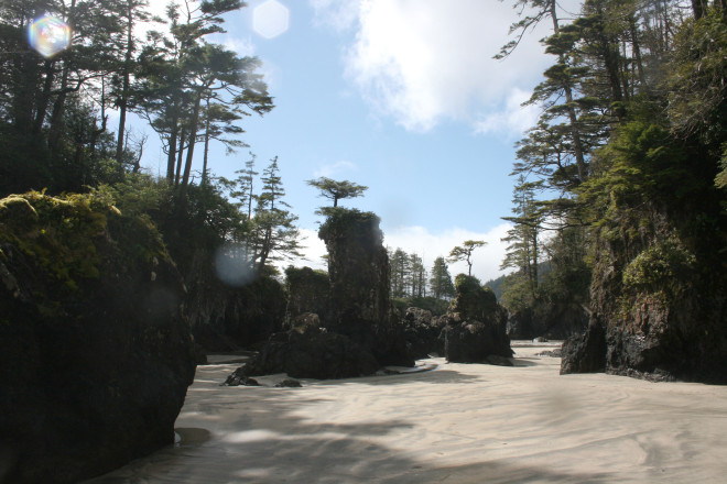 The "sea stacks" at San Josef Bay, Cape Scott