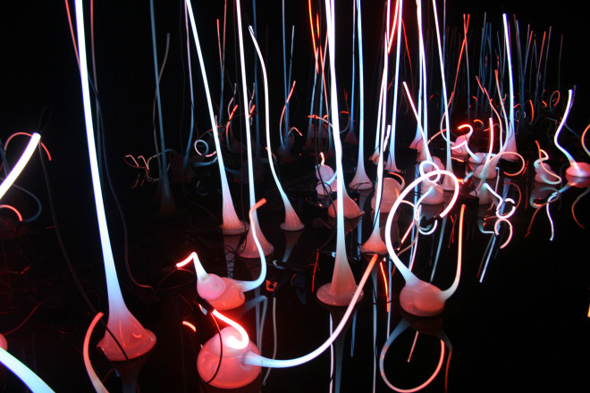 Chihuly at the Montreal Museum of Fine Arts
