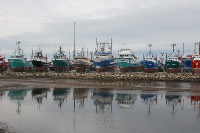 Fising boats at Shipphagan, New Brunswick