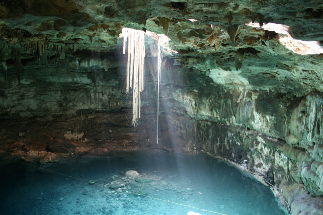 Dangling tree roots - Samula cenote, Yucatán