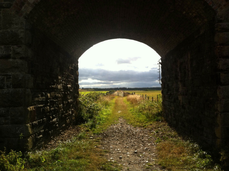 photo1