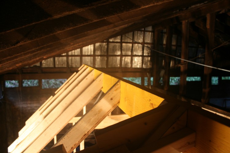 Tiny House Construction – Week 7
