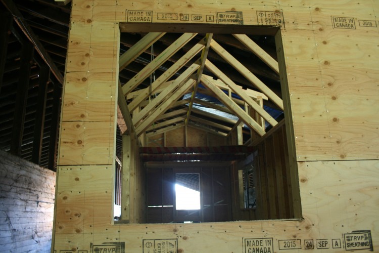 A window!