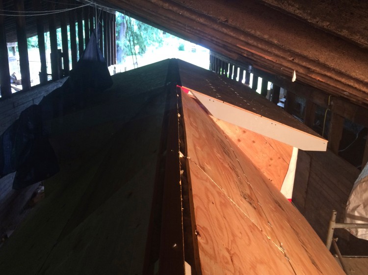 Tiny House Construction – Weeks 17-19