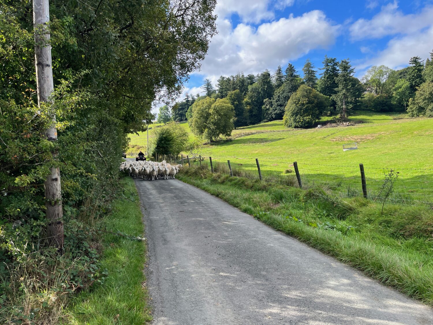 Wales 2022 – Day 3